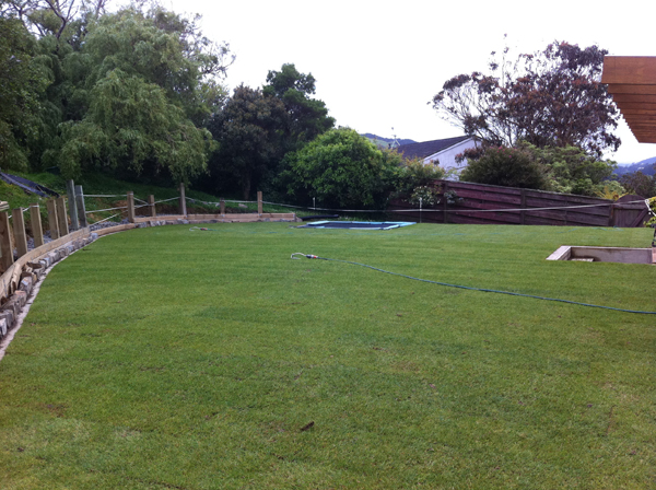 Completed lawn